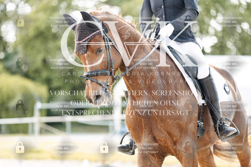 CK909755 | Turnierfotografie Pferdefotografie Trier Rheinland-Pfalz Pferdesport Reitsport Tierfotografie Sportfotografie Pferdevideo Pferdevideografie Equestrianvideography equestrianphotography  - Realisiert mit Pictrs.com