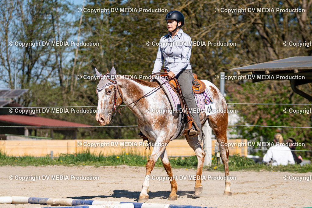 Balingen Tag 1-685 | dv-media-shop - Realisiert mit Pictrs.com