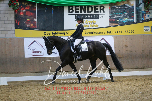 IMG_2914 | Turnierfotos kaufen im Webshop von Daniel Kuhl Photography – entdecke professionelle Reitsportfotos aus Turnieren & Events. Hochwertige Turnierbilder online bestellen & sichern. Jetzt Fotos von Reitsportturnieren kaufen!