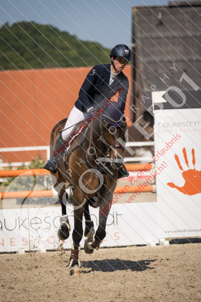 IMG_4083 | Sport-, Event- und Tierfotos in Profiqualität. Einfach auswählen, bestellen und herunterladen. Dein Moment – perfekt festgehalten.