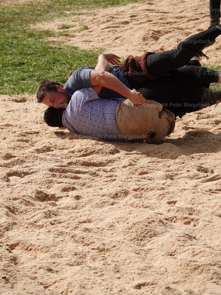 DSC05756 | Schwingen - Realisiert mit Pictrs.com