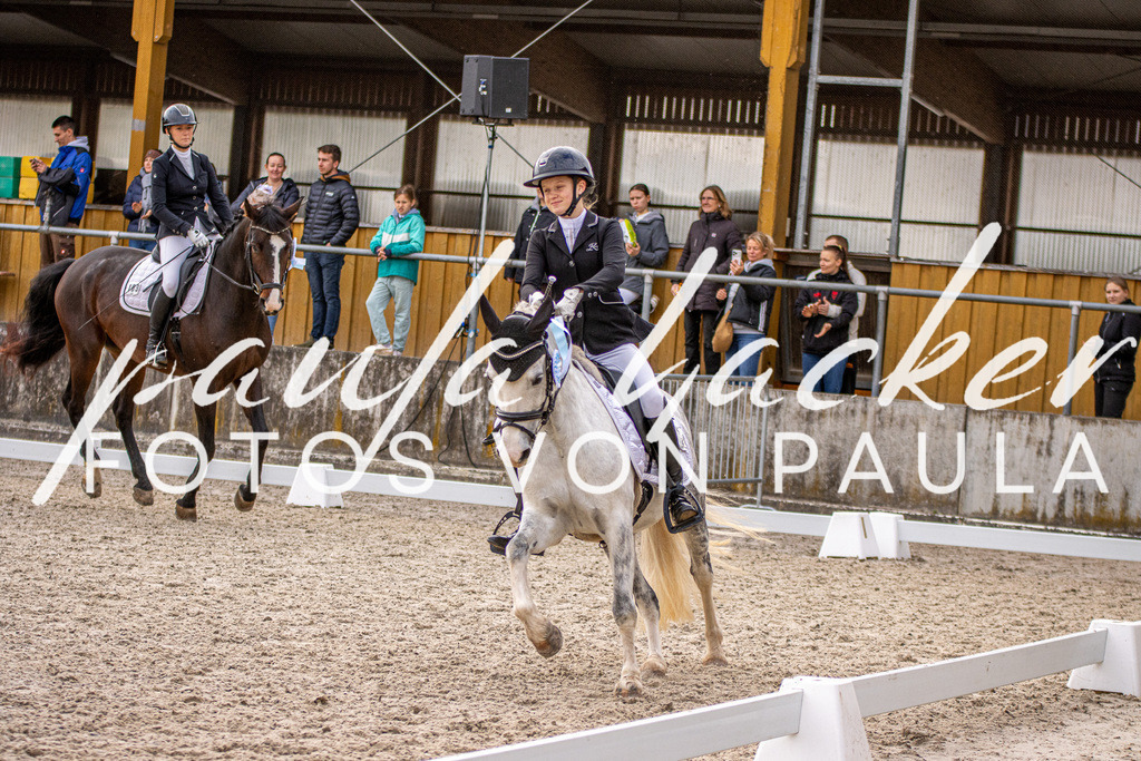 IMG_3064 | Erleben Sie dynamische Sport- und emotionale Tierfotografie in Süddeutschland mit Fotos von Paula. Spezialisiert auf Pferde- und Hundefotografie sowie Sportevents. Kontaktieren Sie mich für einzigartige und ausdrucksstarke Bilder Ihrer besonderen Momente. - Realisiert mit Pictrs.com