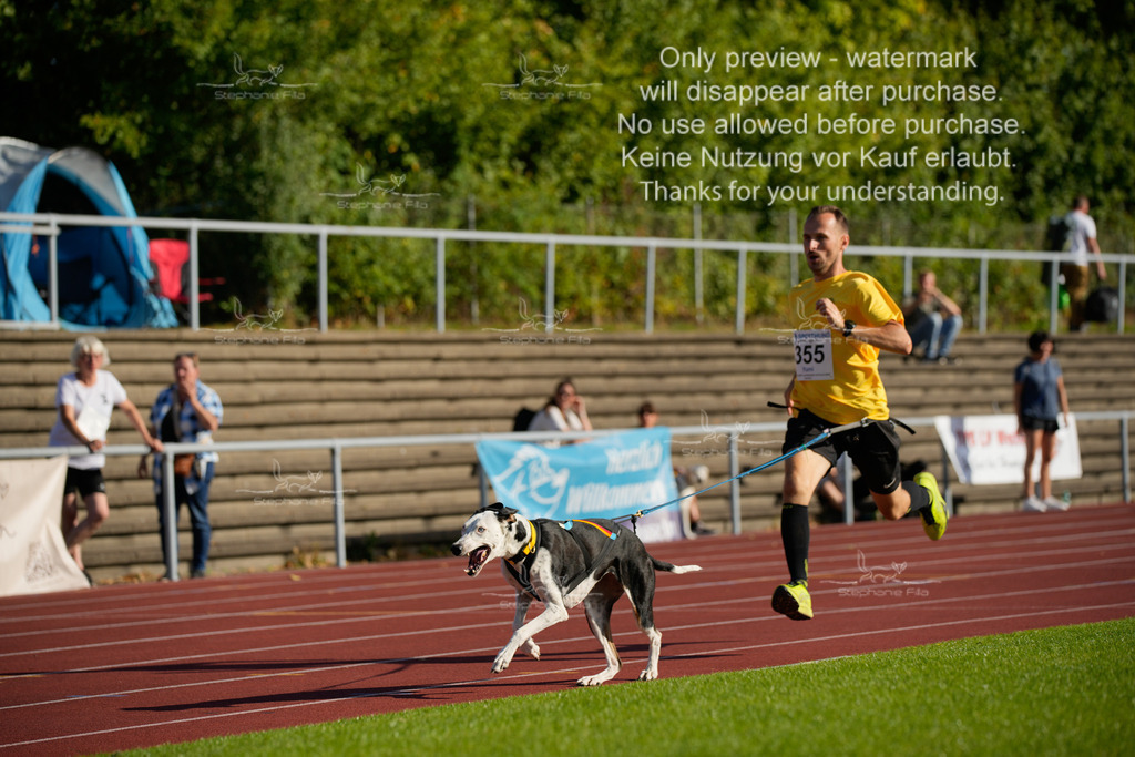 Sonntag_Staffel (312 von 336) | stephaniefillaphotographie - Realisiert mit Pictrs.com