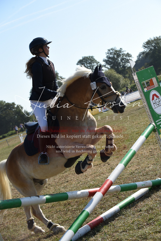 DSC_5891 | Pferde- und Turnierfotografie in Westsachsen. Pferdeportraits, Auftragszeichnungen und intuitive Kunst.