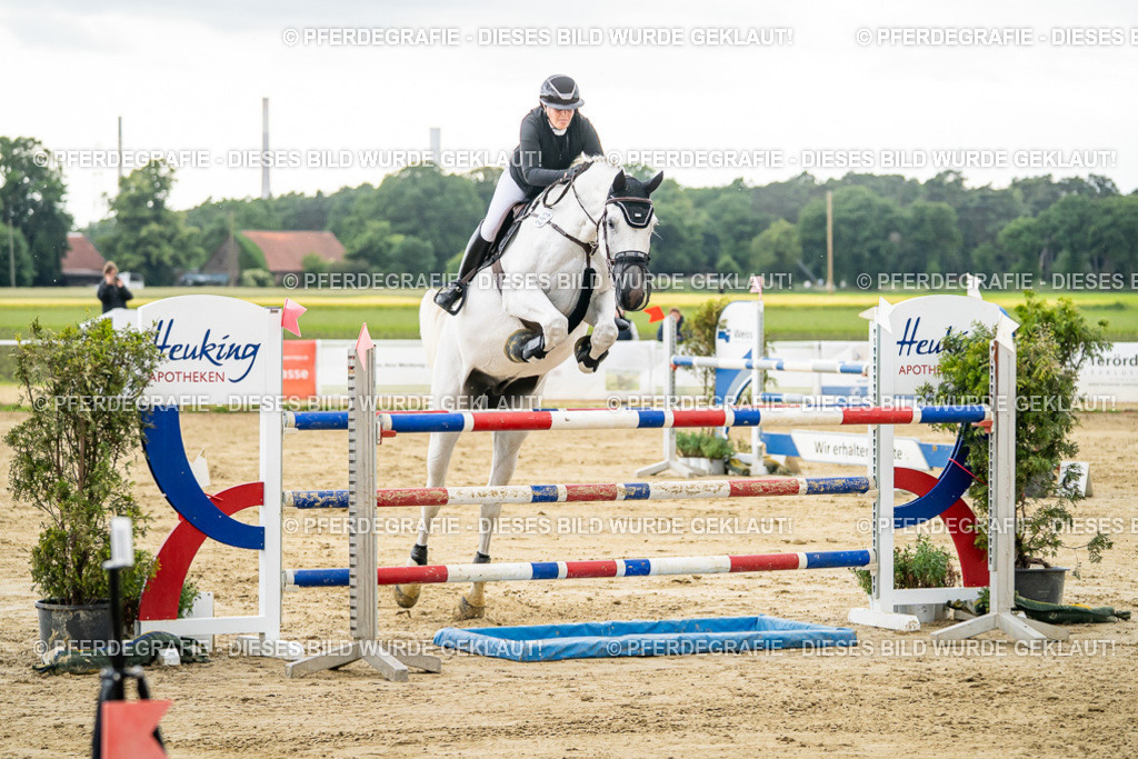 DSC06684 | Pferdegrafie