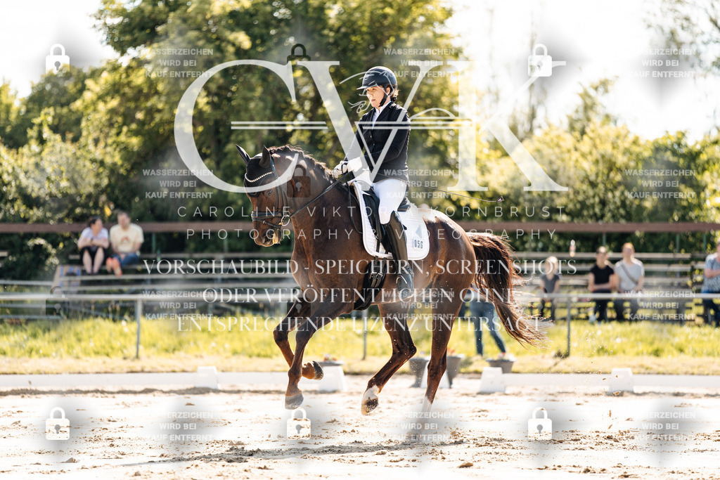 CK909175 | Turnierfotografie Pferdefotografie Trier Rheinland-Pfalz Pferdesport Reitsport Tierfotografie Sportfotografie Pferdevideo Pferdevideografie Equestrianvideography equestrianphotography  - Realisiert mit Pictrs.com