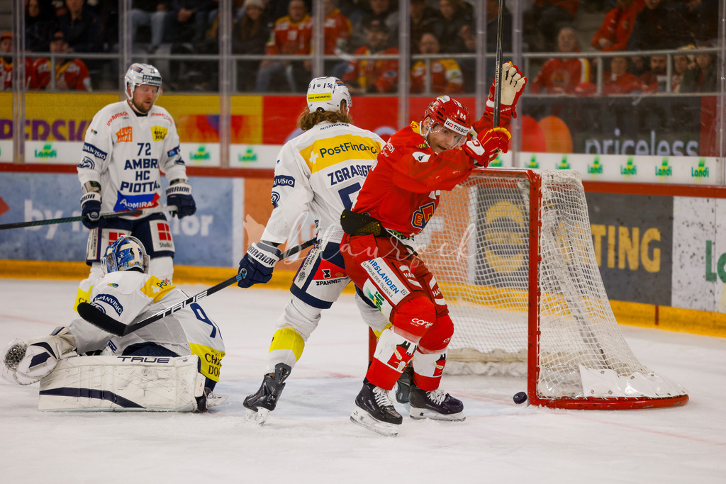 EHCB vs HCAP 20260115_wb-4362 | Sportbilder, Sportfotograf, Hochzeits- und Eventfotografin, Flugshows, Portraits und Tiershooting, Aviation, Downhill, Nationalleague, Swissleague, International