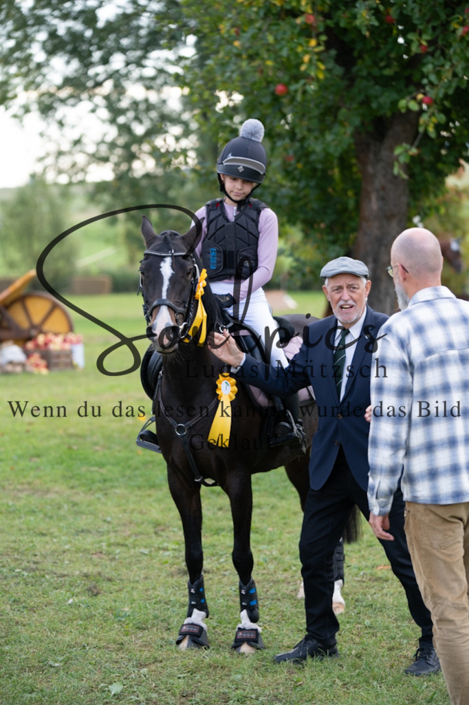 A7V03148 | Turnier/Reitfotograf