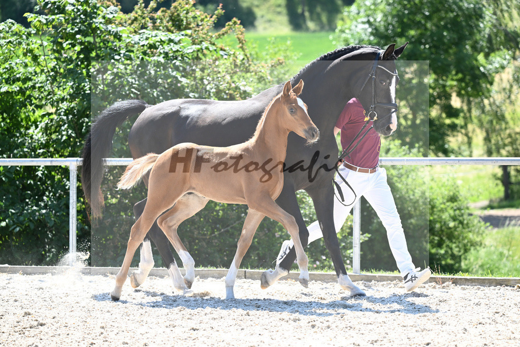 Kat-Nr. 9 HF Feliciano_Mueller_16230299 | hf-fotografie - Realisiert mit Pictrs.com