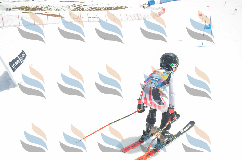 _ELE7063 | holidayphoto