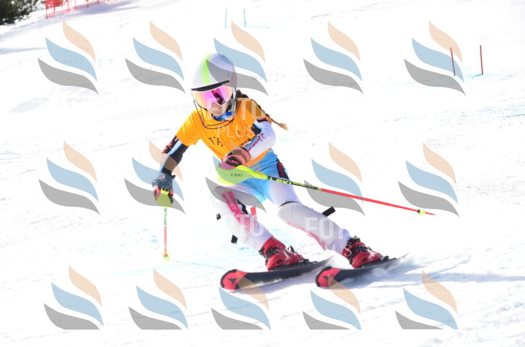 C7943 | holidayphoto