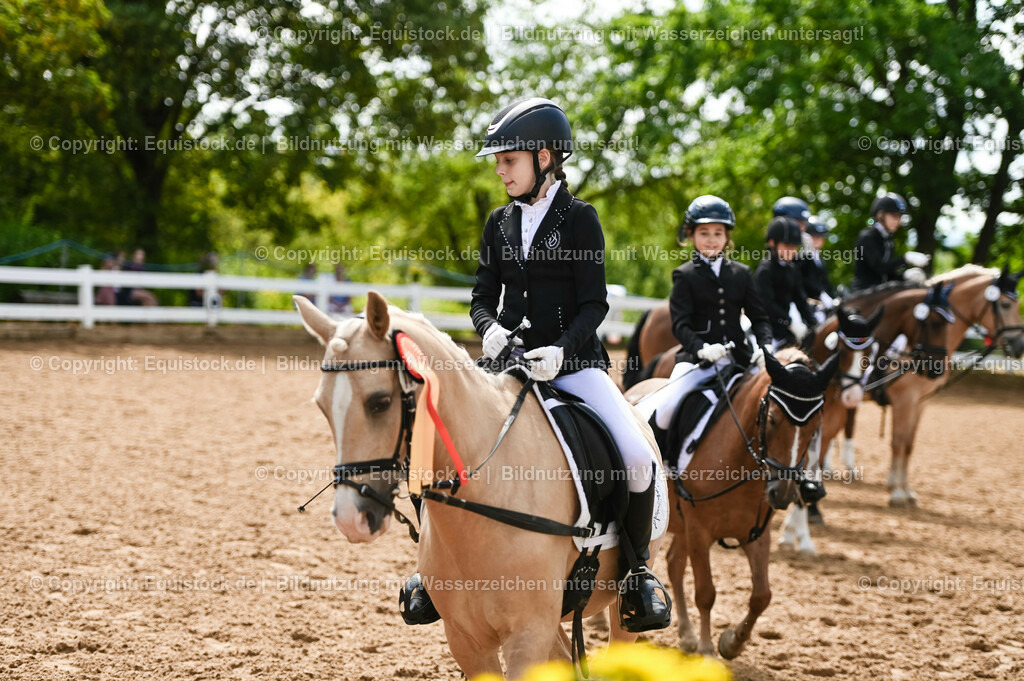 20230716_10-3_Reiter-WB Schritt - Trab - Galopp_0242 | equistock