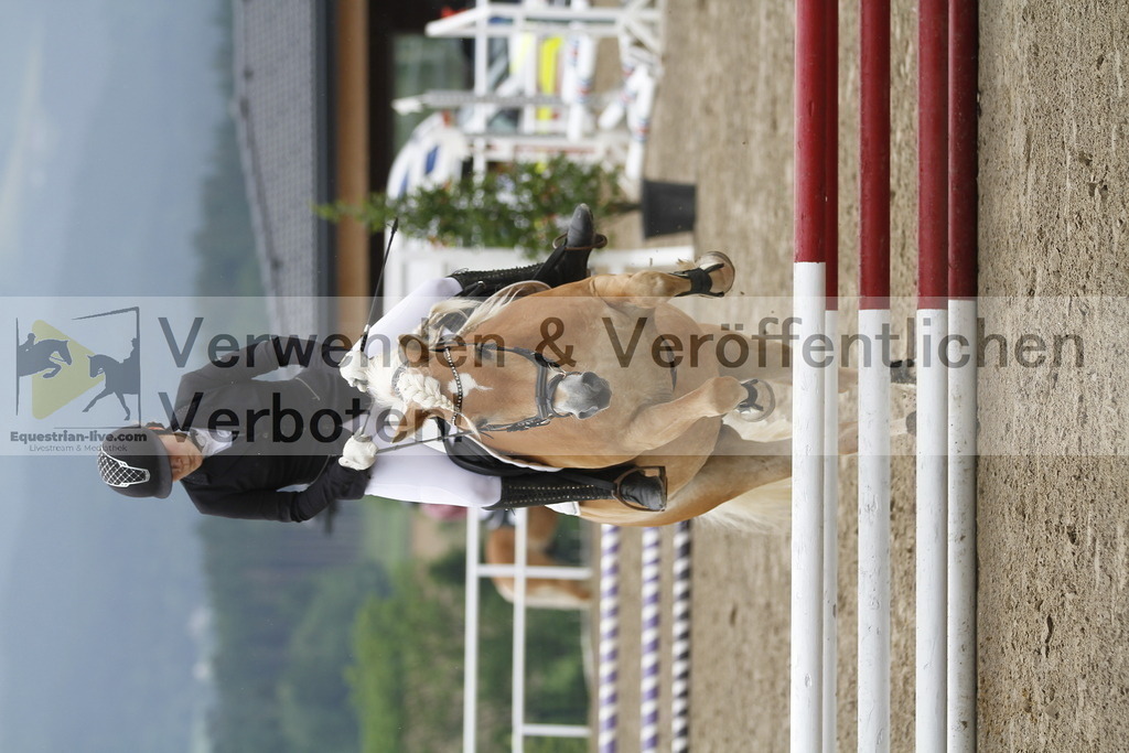 _MG_9614 | equestrian-live-com