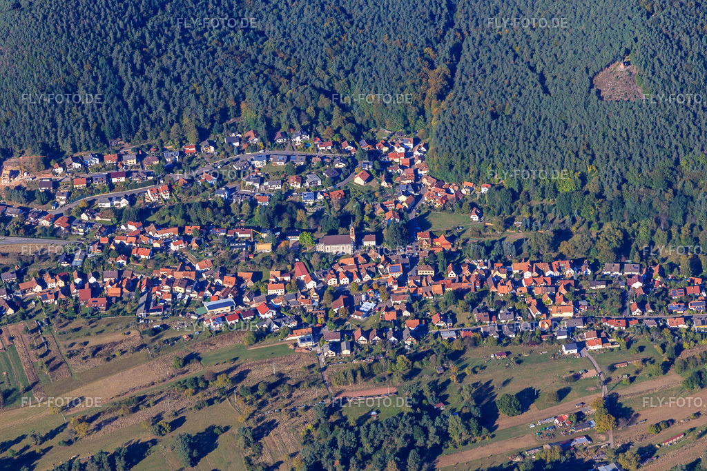 Dorfansicht im Pfälzerwald aus Süden | Luftbild: Dorfansicht im Pfälzerwald aus Süden in Birkenhördt im Bundesland Rheinland-Pfalz in Deutschland. Foto: IMG_095276.jpg vom 16.10.2016 durch Werner Riehm/FLY-FOTO.de - Realisiert mit Pictrs.com
