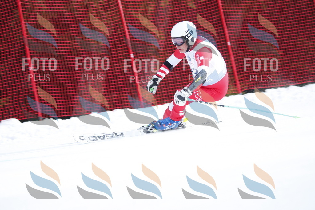 D5319 | holidayphoto