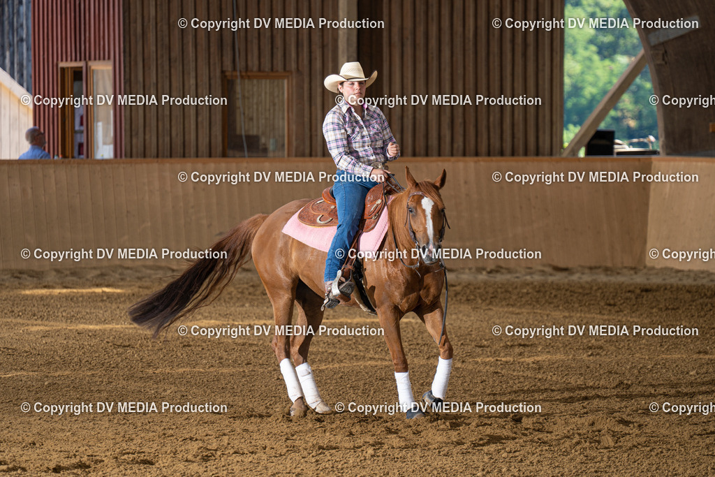 DSC00117 | dv-media-shop - Realisiert mit Pictrs.com