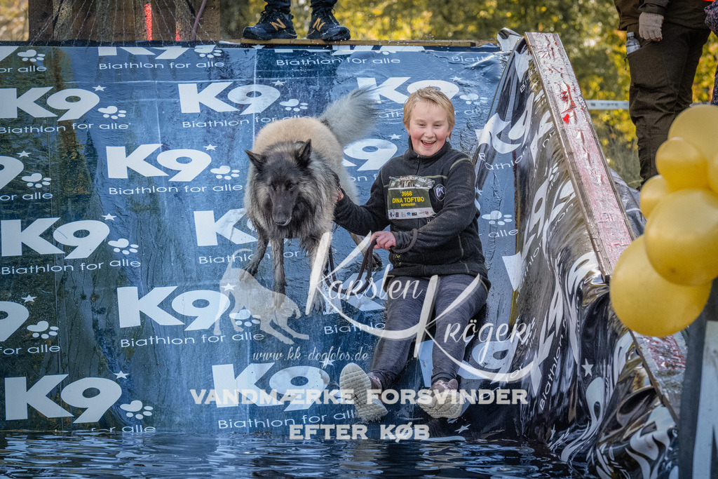 1441_ZZ93781 | kk-dogfotos