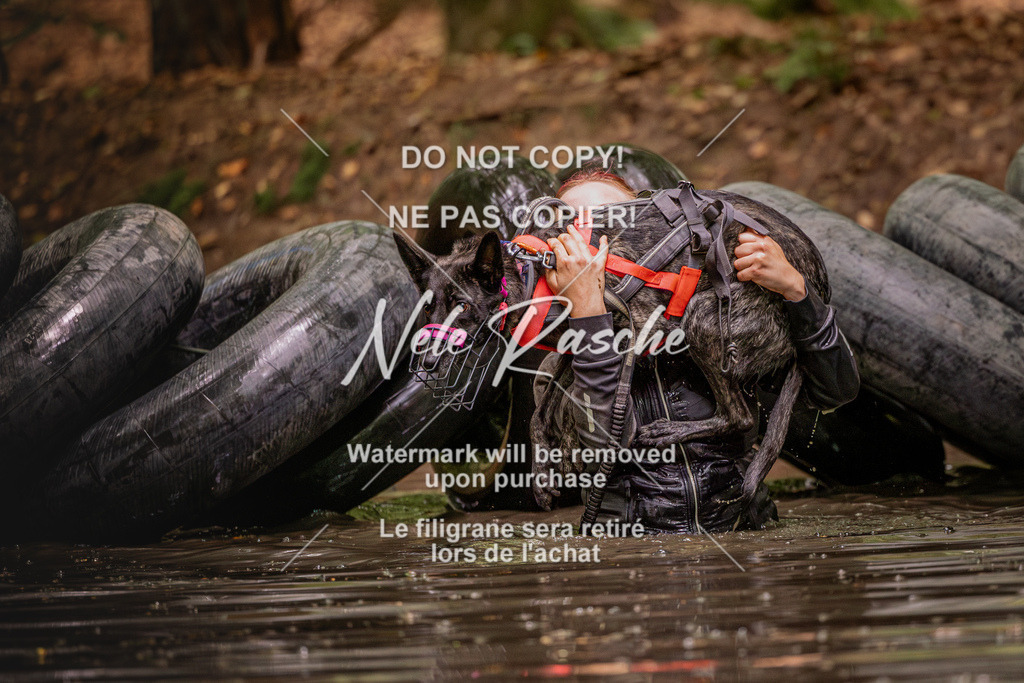 nelerasche_SaWingst1030-1130_207 | nelerasche