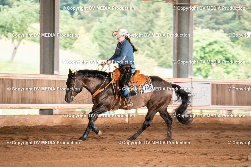 Erbach Tag 4-806 | dv-media-shop - Realisiert mit Pictrs.com