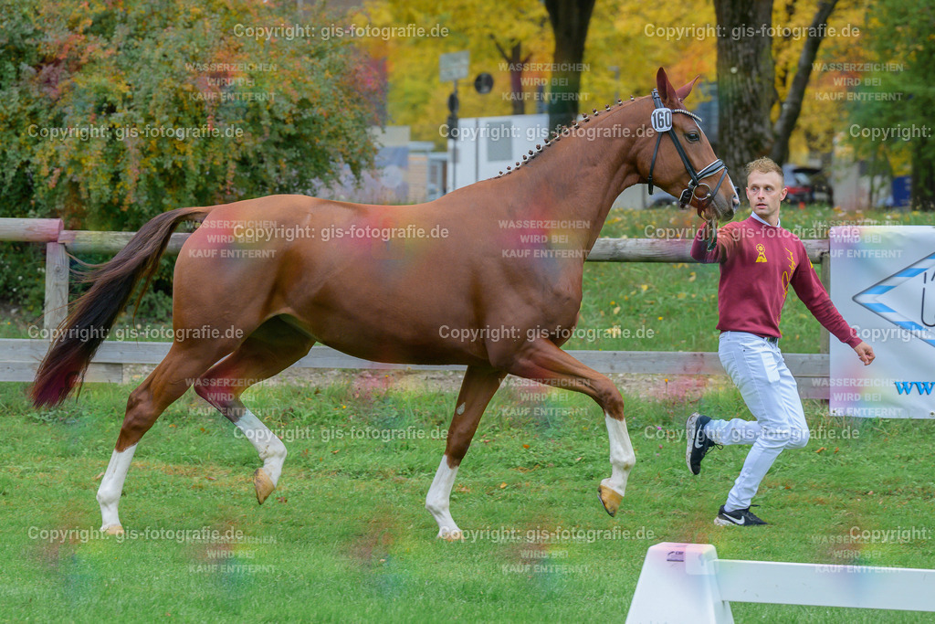 160_Winchester_v.Total-Diamond-PS_Schindele_251018_04_gis | gis-fotografie