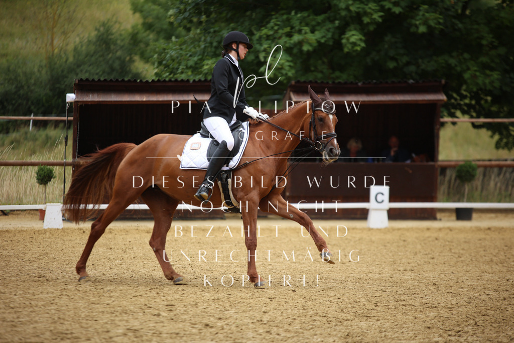 IMGM2848 | pl-fotografie