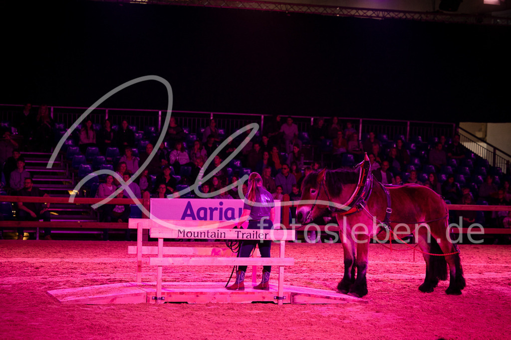 846A6330 | fotosleben - Realisiert mit Pictrs.com