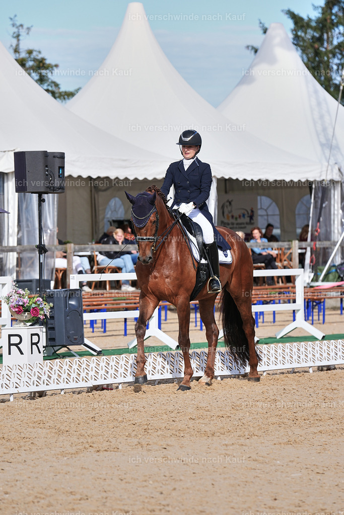 6-143-AMATUER-DRESSUR S_  -Marixx-3686 | working equitationturnier fotograf videograf stoibphotography marixx film working equitation deutschland reitsport turnierfotografie eventfotografie equestrian events