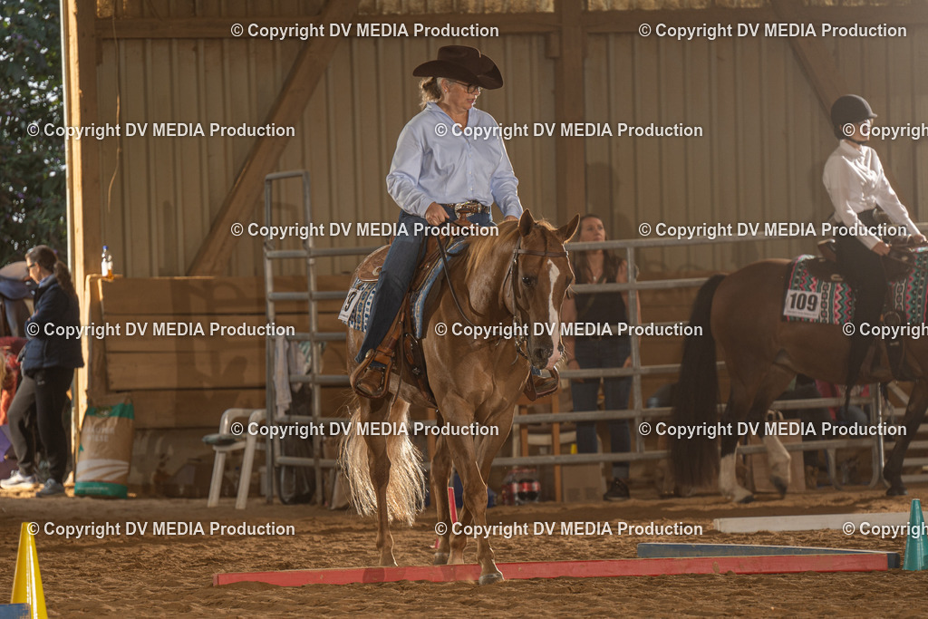 NID02594 | dv-media-shop - Realisiert mit Pictrs.com