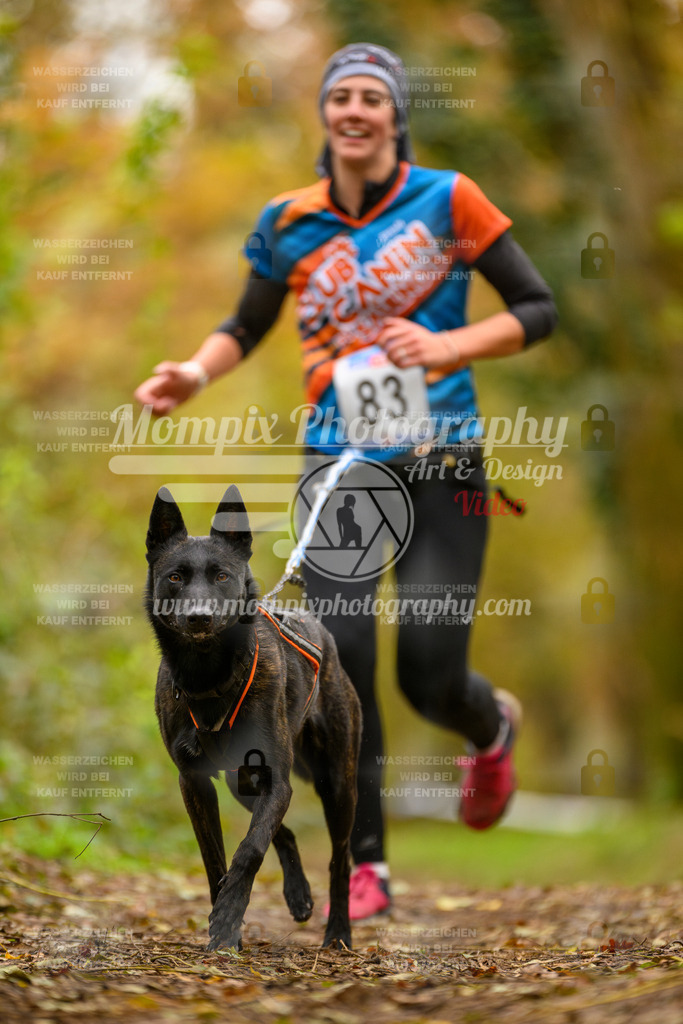 MompixPhotography_Bischwiller24_SA_Canicross-156 | PayLife