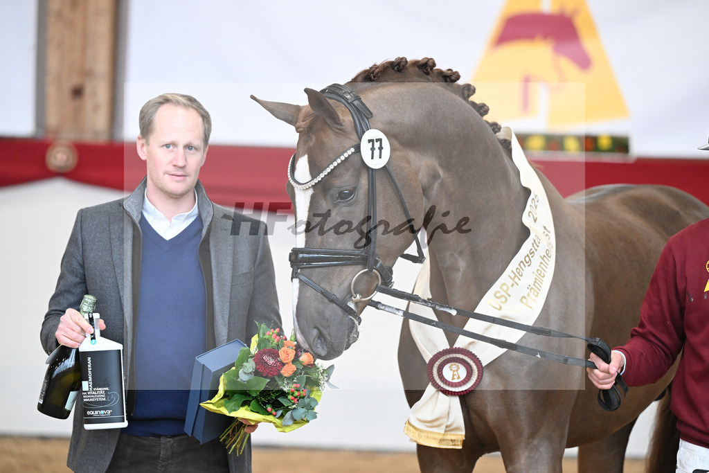 Kat.-Nr. 77 v. Sir Donnerhall I_Schafhof_2251918 | hf-fotografie - Realisiert mit Pictrs.com