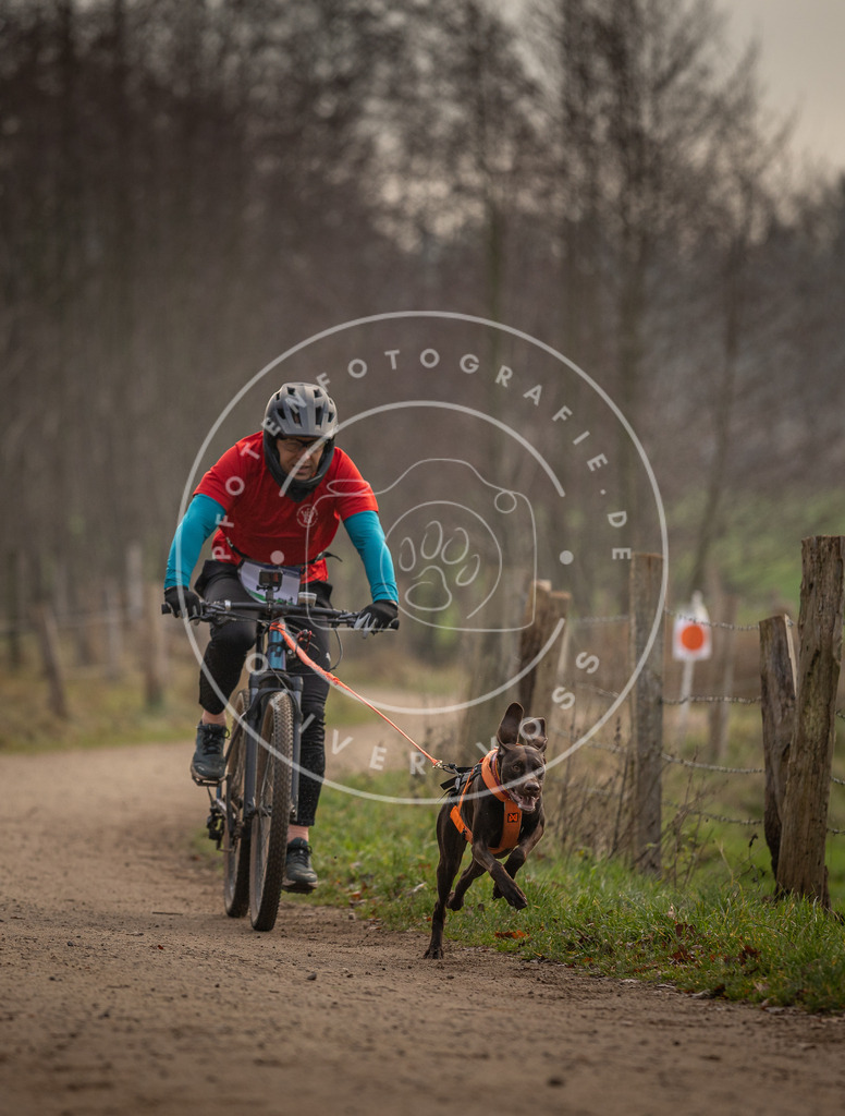 Pfotenfotografie_DV3A1864 | Hundefotografie, Tierfotograf, Pfotenfotografie, Fotoshooting Hund, Hunde Portrait, Hundesport, Hundeportraits, Heideshooting, Hunde, Sportfotograf, Hundefotograf, Turnierhundsport, THS,  - Realisiert mit Pictrs.com
