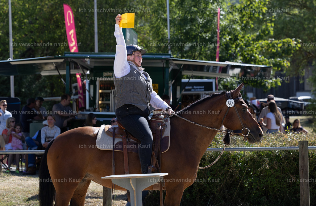 WE_Trail_107_KerstinBernhardt-14 | working equitationturnier fotograf videograf stoibphotography marixx film working equitation deutschland reitsport turnierfotografie eventfotografie equestrian events