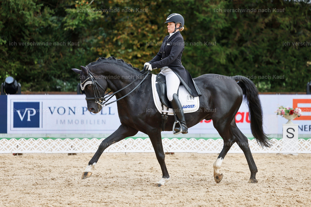 07-093-DRESSUR  S___  -StoibPH-5026 | working equitationturnier fotograf videograf stoibphotography marixx film working equitation deutschland reitsport turnierfotografie eventfotografie equestrian events