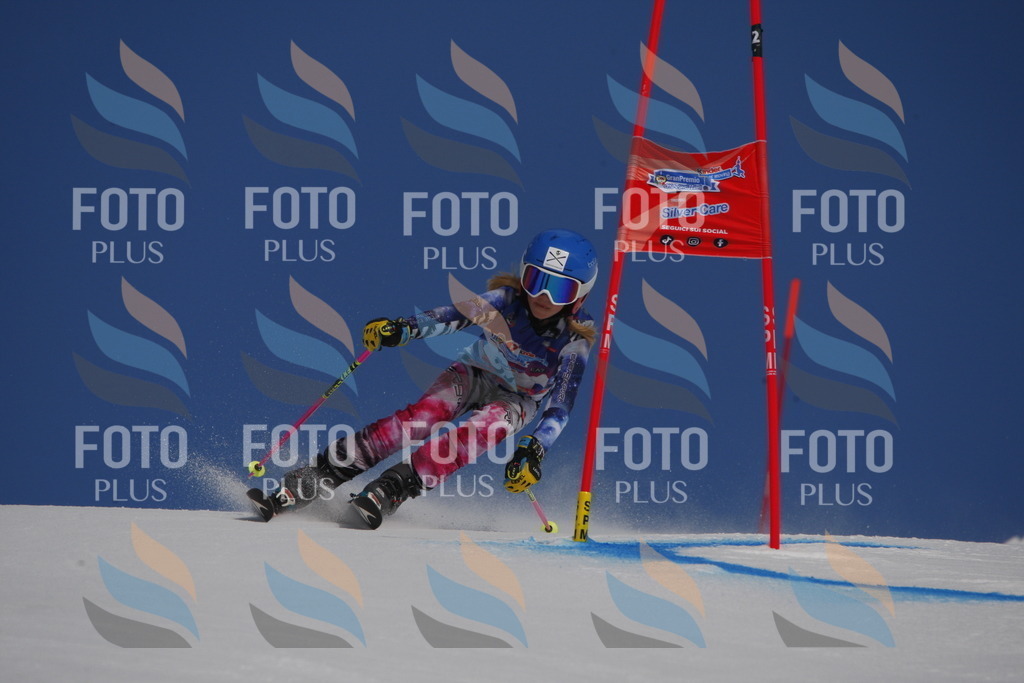 _W1G0238 | holidayphoto