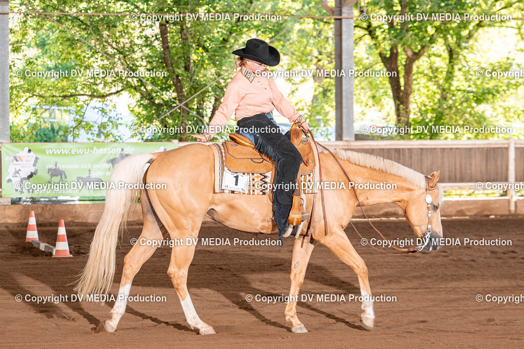 Erbach Tag 3-271 | dv-media-shop - Realisiert mit Pictrs.com