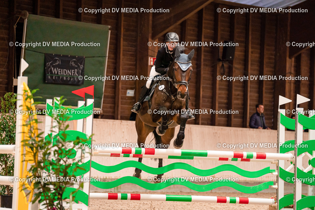 Springen Tag 3-021 | dv-media-shop - Realisiert mit Pictrs.com