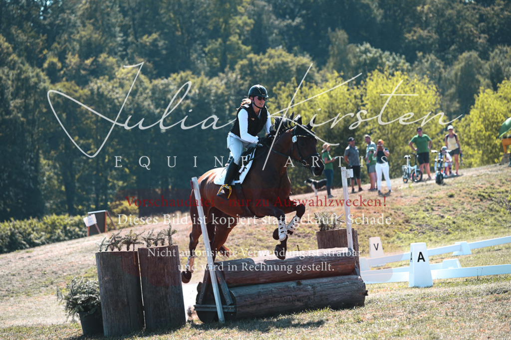 DSC_8300 | Pferde- und Turnierfotografie in Westsachsen. Pferdeportraits, Auftragszeichnungen und intuitive Kunst.