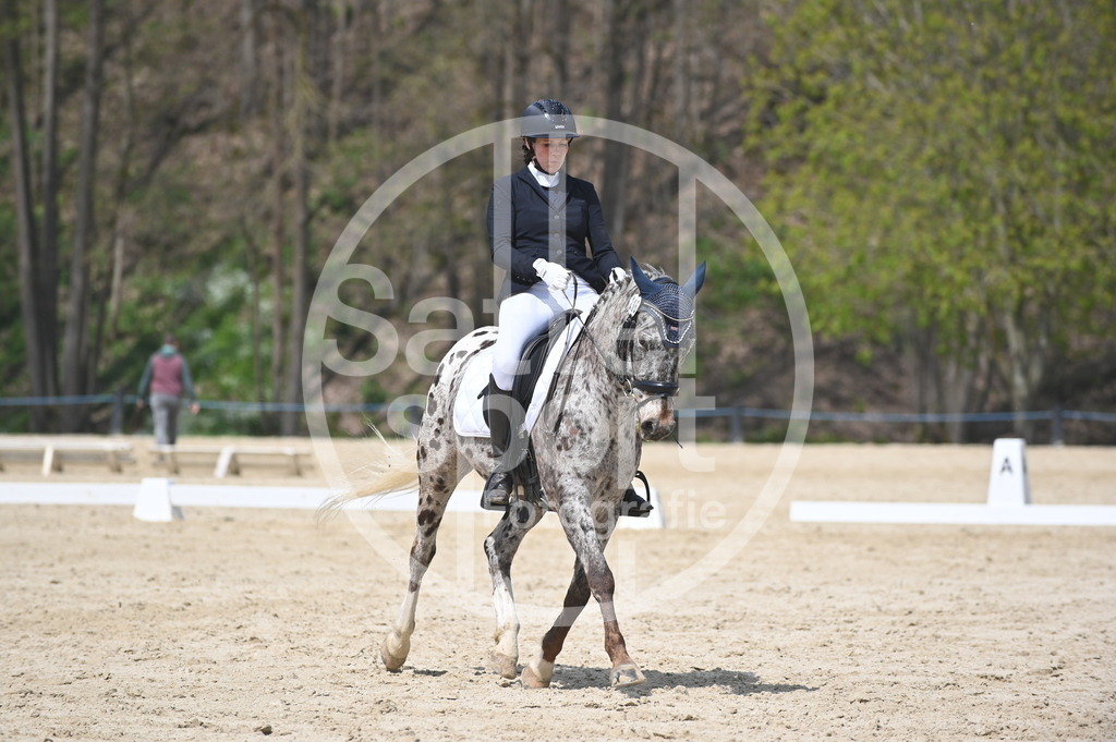 DSC_2261 | sattelsport - Realisiert mit Pictrs.com