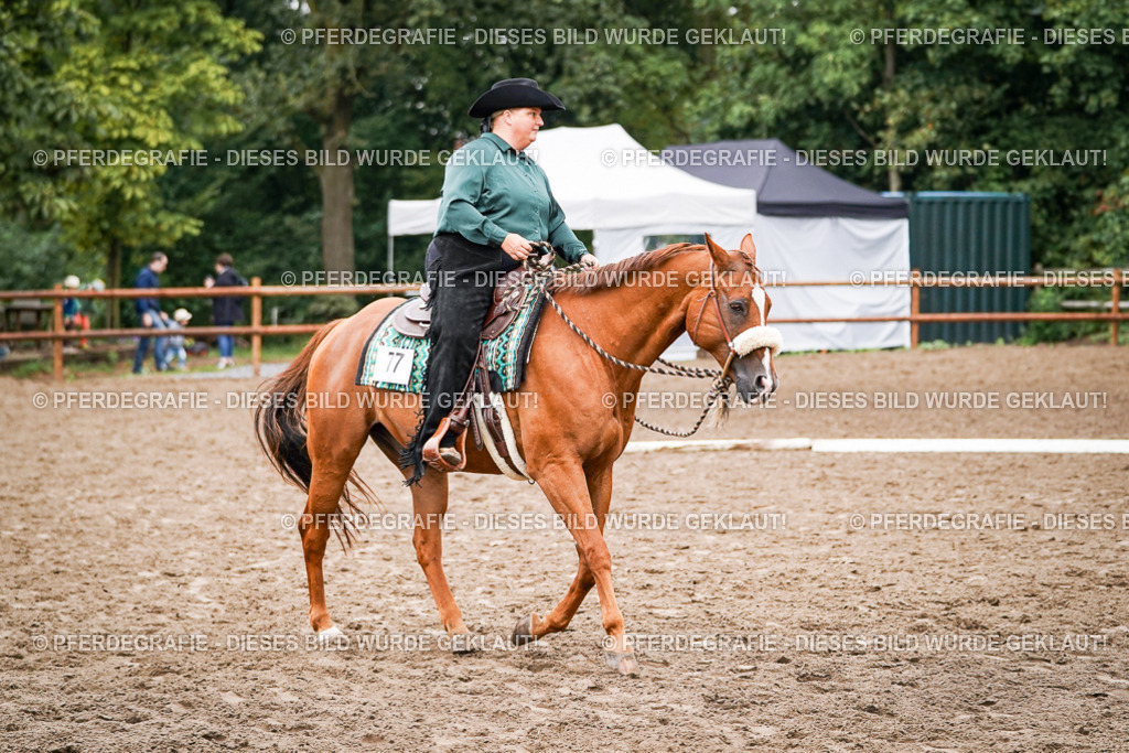 DSC02858 | Pferdegrafie