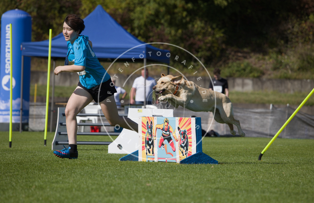 0L8A7396 | Hundefotografie, Tierfotograf, Pfotenfotografie, Fotoshooting Hund, Hunde Portrait, Hundesport, Hundeportraits, Heideshooting, Hunde, Sportfotograf, Hundefotograf, Turnierhundsport, THS,  - Realisiert mit Pictrs.com