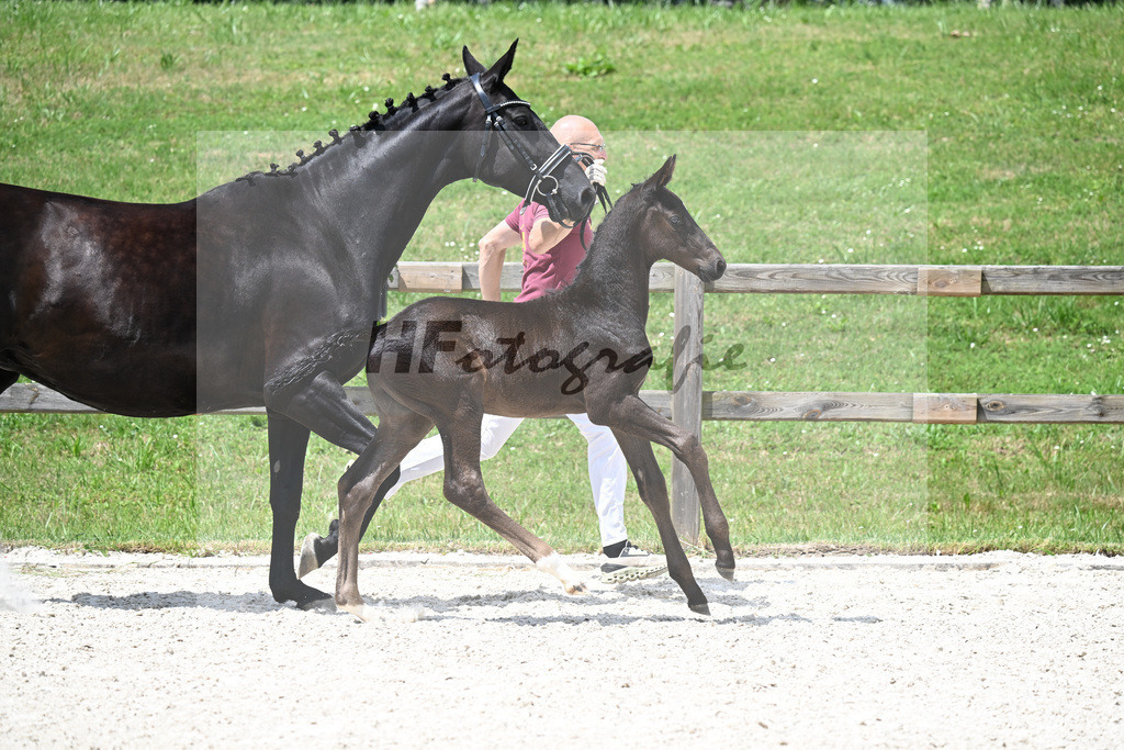 Kat-Nr. 29 Ironman Black M x De Niro_HF_Lechl_15250421 | hf-fotografie - Realizzato con Pictrs.com