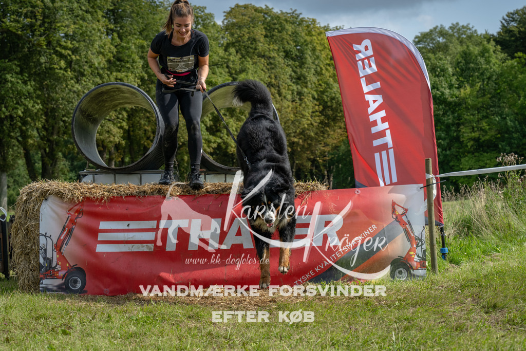 1135_ZZ94903 | kk-dogfotos