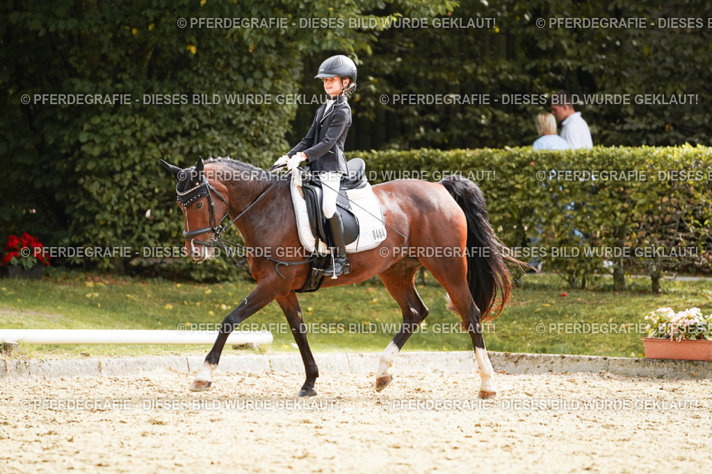 DSC01255 | Pferdegrafie