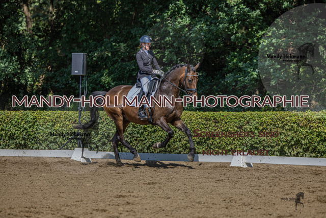 15.8.25 D1  DRE L (371 von 405) | mandyhollmannphotographie
