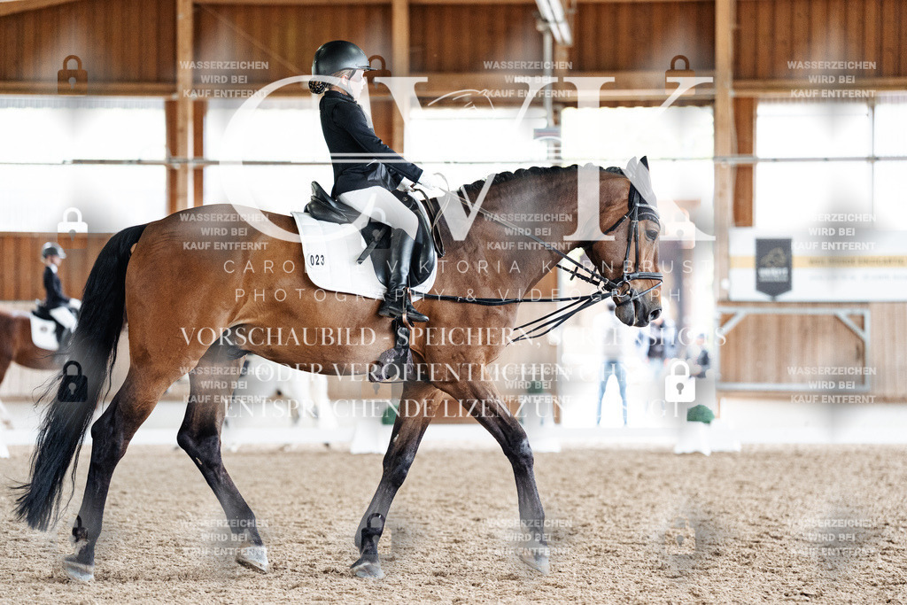 CK900859 | Turnierfotografie Pferdefotografie Trier Rheinland-Pfalz Pferdesport Reitsport Tierfotografie Sportfotografie Pferdevideo Pferdevideografie Equestrianvideography equestrianphotography  - Realisiert mit Pictrs.com