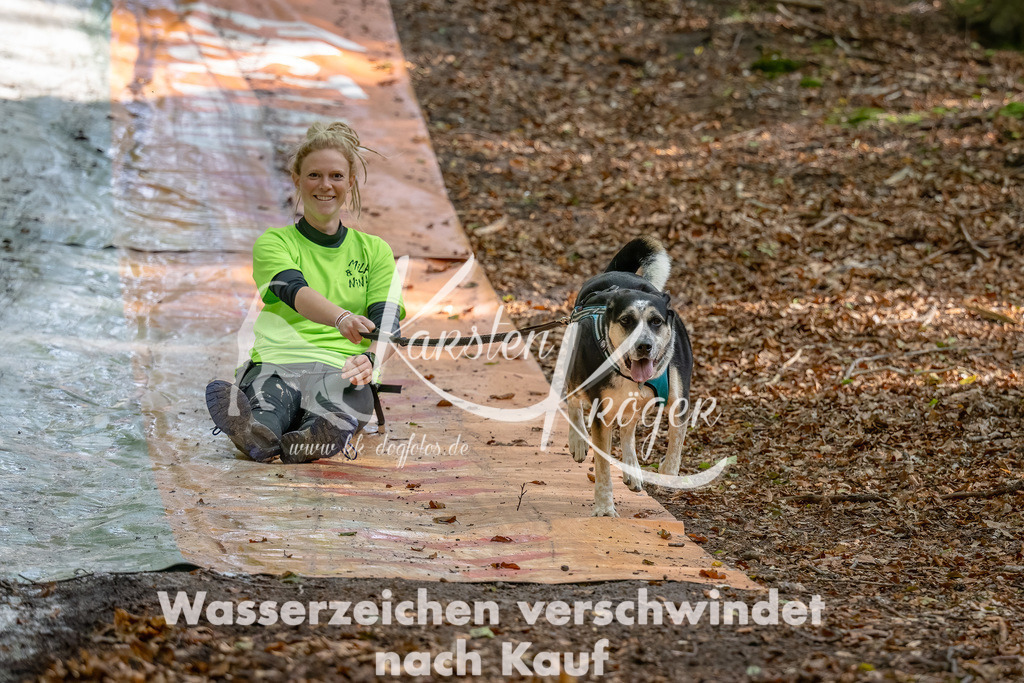1216_ZZ93656-Bearbeitet | kk-dogfotos