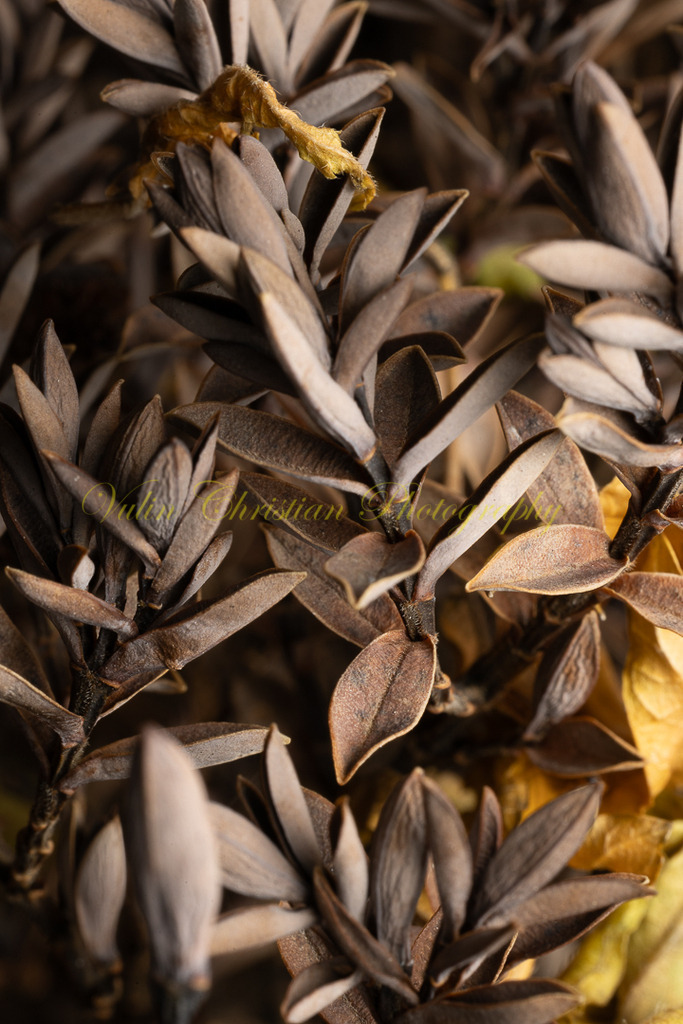 P 10 | Christian Vulin  - Realisiert mit Pictrs.com