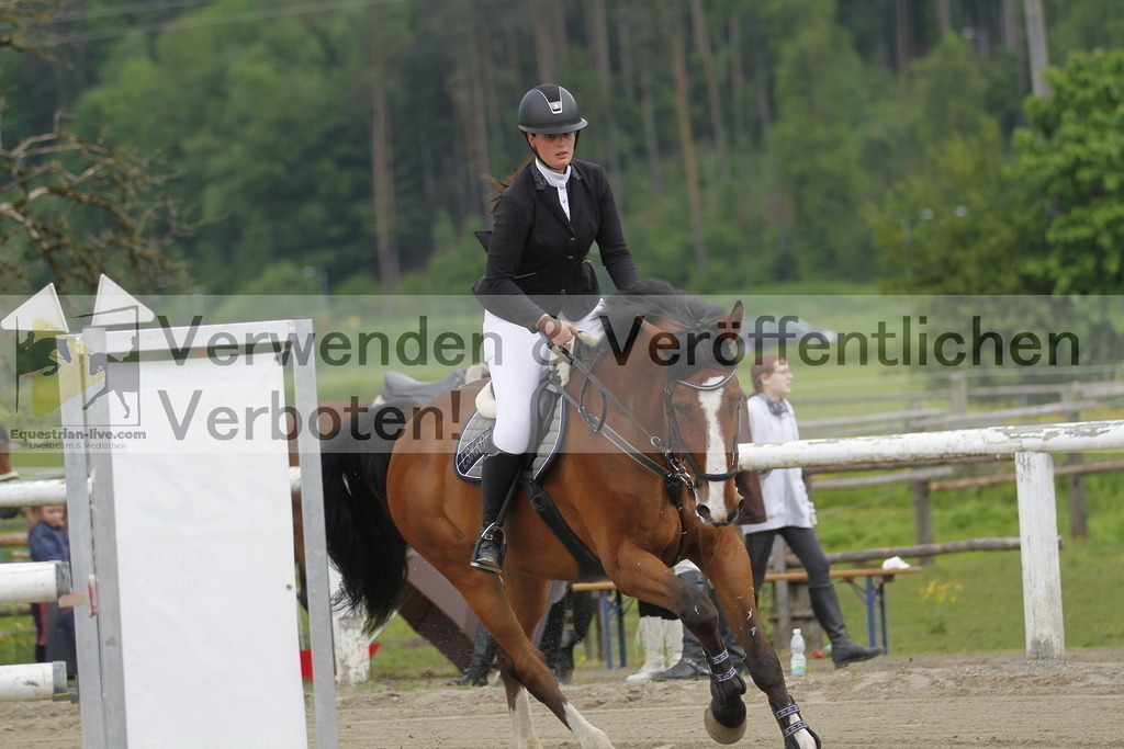 _MG_7914 | equestrian-live-com