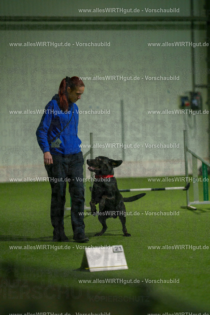 7R508473 | Professionelle Tierfotografie in Mönchengladbach von Daniel Wirth (allesWIRTHgut). Liebevolle & natürliche Bilder von Hunden & Katzen für unvergessliche Erinnerungen.