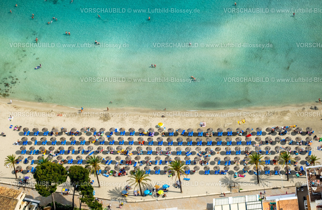 Mallorca230600313N | Luftbild, Strandleben mit Sonnenliegen und Sonnenschirmen, Strand von Palmira am Passeig Maritim de Palmira, Playa Palmira, Peguera, Calvia, Balearen, Mallorca, Balearische Inseln, Spanien